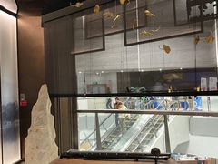 -京华烟云·北京烤鸭(领展购物广场·中关村店)