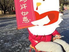 -紫竹院公园冰场