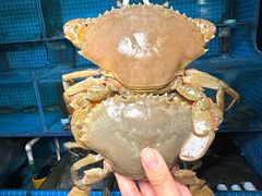 -三妹小龙虾·黄油蟹(华侨城总店)