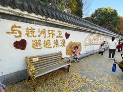-赭山公园