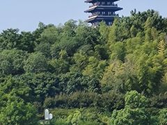 -宜兴龙背山森林公园