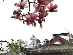-堤角公园