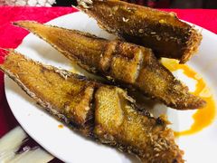 -蛇口康乐快餐鱼仔档(翠苑小区店)