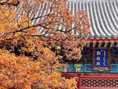-香山公园
