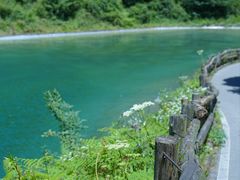 -武陵山森林公园