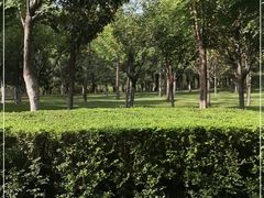 -洨河生态公园