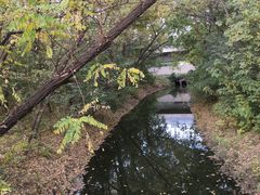 -廊坊市自然公园