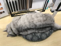 -Oasis绿洲银饰珍珠手作diy(壹方城店)