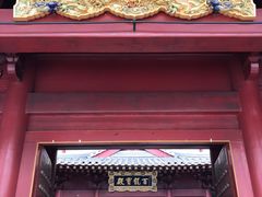 -新加坡佛牙寺龙华院
