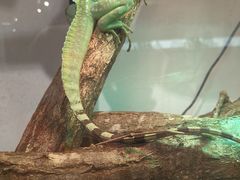 -上海昆虫博物馆