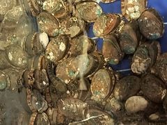 -渔家大院·地道威海菜(石岛店)