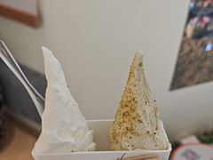 -野人先生现做冰淇淋(深圳壹方城店)