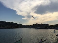 -小巴塞罗那海滩