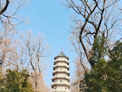 -灵谷景区