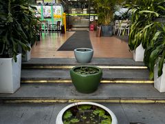 -813芭依珊 BAESAn(皇冠十畝地店)