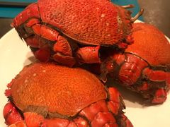 -大连星海皇冠假日酒店