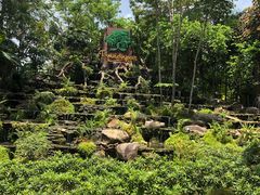 -绿光森林餐厅
