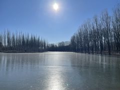 -东郊湿地公园