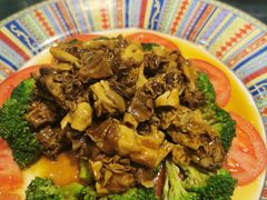-阿拉丁新疆风味餐厅·清真(罗廊巷店)