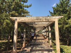 -乌素图国家森林公园