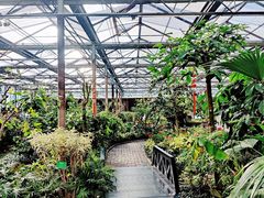 -南宫五洲植物乐园