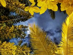 -三亚珠江南田温泉度假区