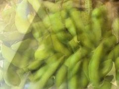 -腾格勒烤羊腿