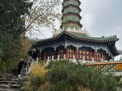 -香山公园