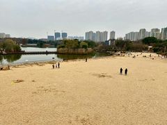 -青枫公园