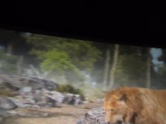 -高新活力汇Vitality