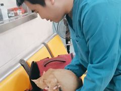 -动物缘宠物医院·骨科·猫科(西二环店)