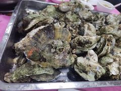 -蠔园山庄(礼乐食街店)