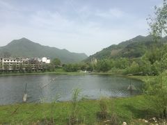 -后柳水乡