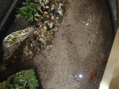 -若水足浴·足疗·按摩·SPA
