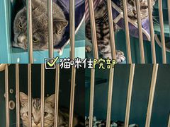 -pd派德宠物中心医院24H急重症·眼科中心·血液透析中心(嵩山北路店)