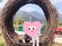 -竹语饭香·原生态农庄·烧鸡·竹筒饭·河鲜(森林海白水寨店)