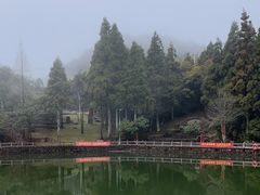 -玉苍山国家森林公园