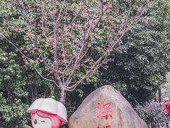 -顾村公园