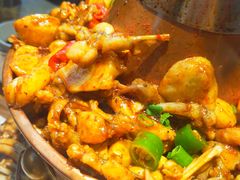 -老佛爷铜炉蛙锅(挂绿店)