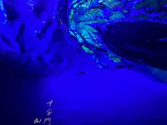 -煲煲掂风味煲仔饭餐厅(西区店)