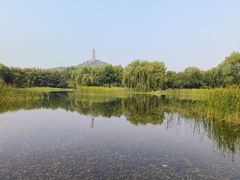 -北坞公园