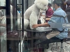 -宠物家(大兴旧宫店)