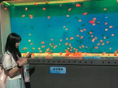 -大连圣亚海洋世界