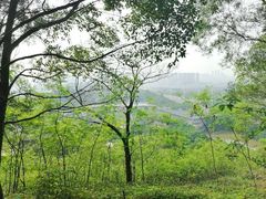 -李宁体育园