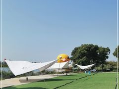 -动邦皮划艇·桨板·独木舟·团建户外运动俱乐部