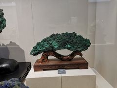 -安徽省地质博物馆