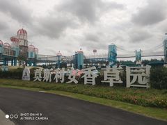 -季高兔窝窝亲子园(上海薰衣草公园店)