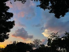 -海底捞火锅(奥体南路店)