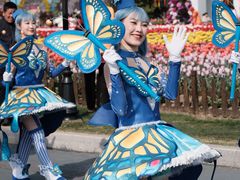 -荷兰花海