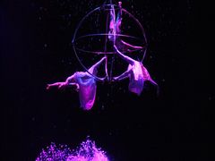 -广州长隆国际大马戏